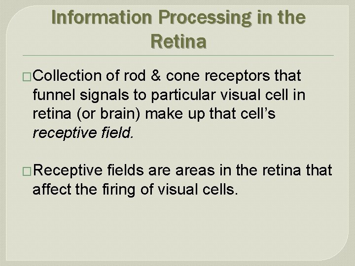 Information Processing in the Retina �Collection of rod & cone receptors that funnel signals