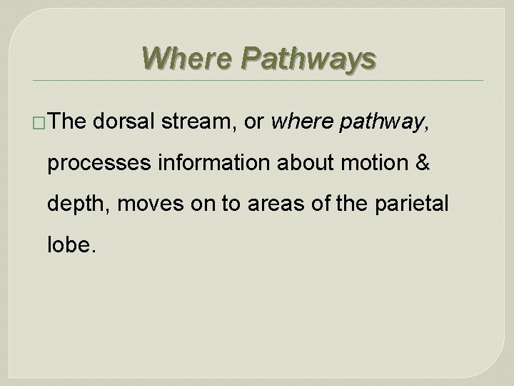 Where Pathways �The dorsal stream, or where pathway, processes information about motion & depth,