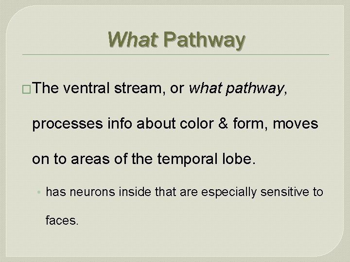 What Pathway �The ventral stream, or what pathway, processes info about color & form,