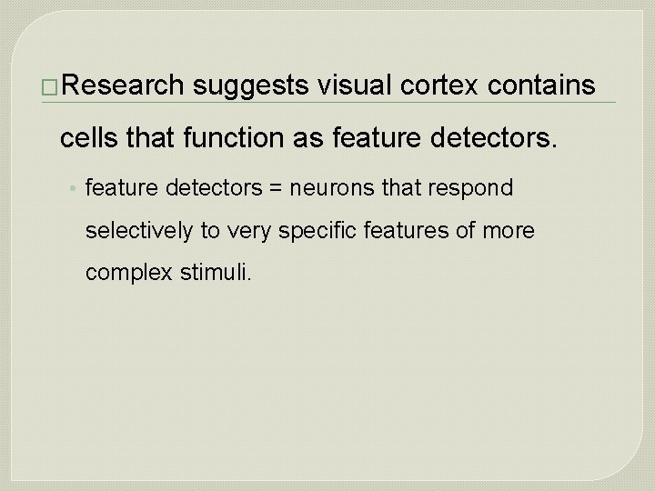 �Research suggests visual cortex contains cells that function as feature detectors. • feature detectors