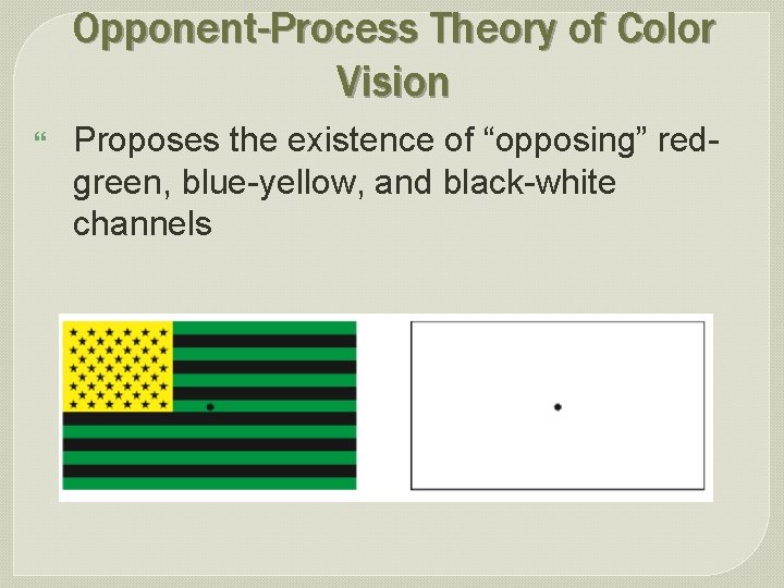 Opponent-Process Theory of Color Vision } Proposes the existence of “opposing” redgreen, blue-yellow, and