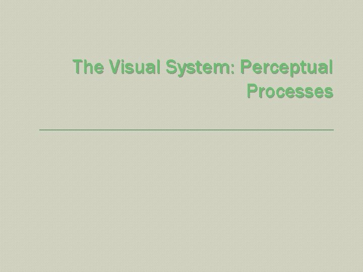 The Visual System: Perceptual Processes 
