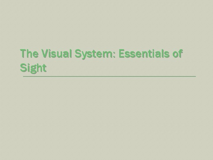 The Visual System: Essentials of Sight 