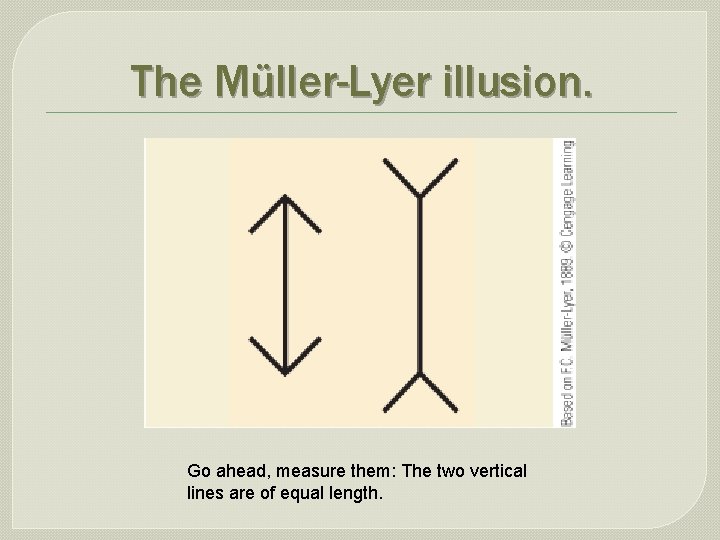 The Müller-Lyer illusion. Go ahead, measure them: The two vertical lines are of equal