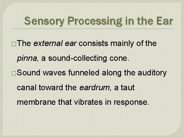 Sensory Processing in the Ear �The external ear consists mainly of the pinna, a