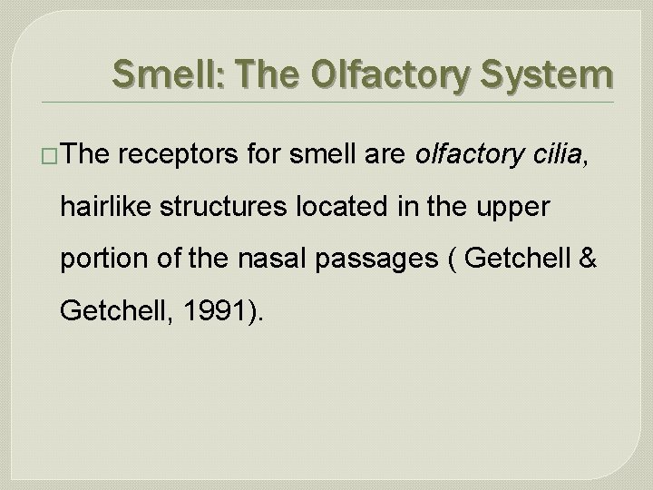 Smell: The Olfactory System �The receptors for smell are olfactory cilia, hairlike structures located