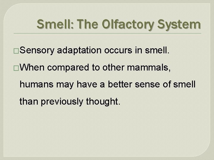 Smell: The Olfactory System �Sensory �When adaptation occurs in smell. compared to other mammals,