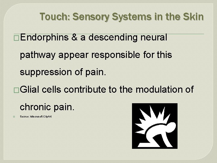 Touch: Sensory Systems in the Skin �Endorphins & a descending neural pathway appear responsible