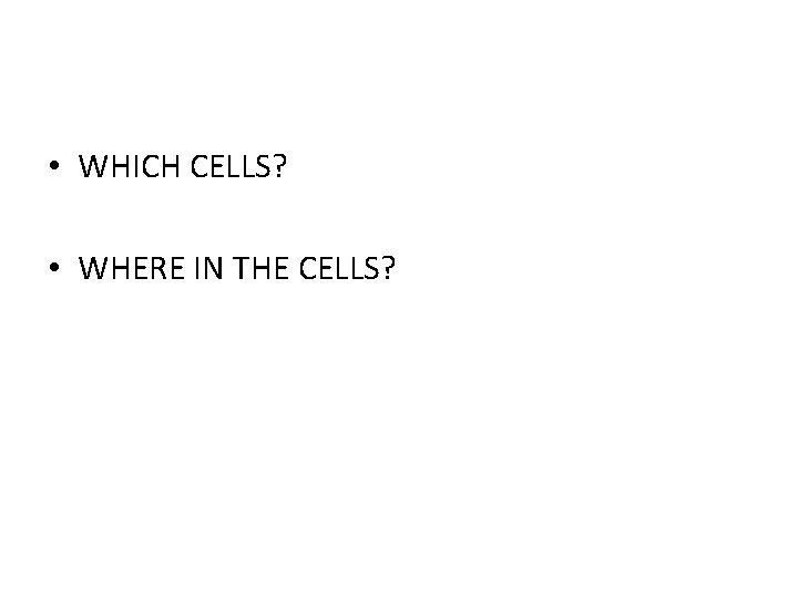  • WHICH CELLS? • WHERE IN THE CELLS? 