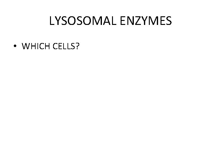 LYSOSOMAL ENZYMES • WHICH CELLS? 
