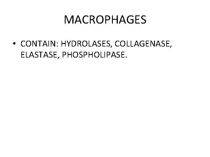 MACROPHAGES • CONTAIN: HYDROLASES, COLLAGENASE, ELASTASE, PHOSPHOLIPASE. 