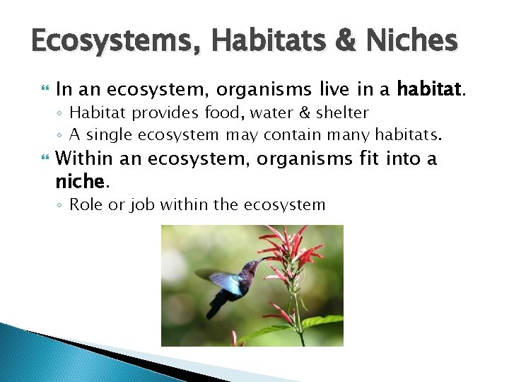 Ecosystems, Habitats & Niches In an ecosystem, organisms live in a habitat. ◦ Habitat