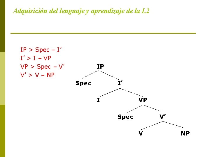 Adquisición del lenguaje y aprendizaje de la L 2 IP > Spec – I’