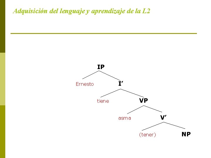 Adquisición del lenguaje y aprendizaje de la L 2 IP I’ Ernesto VP tiene