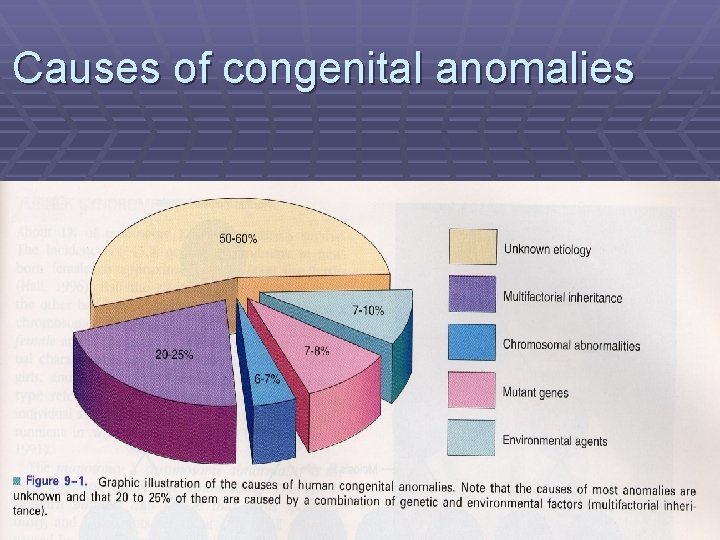 Causes of congenital anomalies 