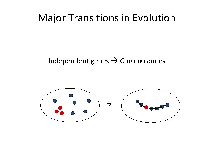 Major Transitions in Evolution Independent genes Chromosomes 