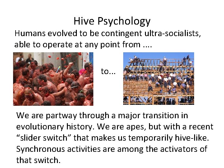 Hive Psychology Humans evolved to be contingent ultra-socialists, able to operate at any point