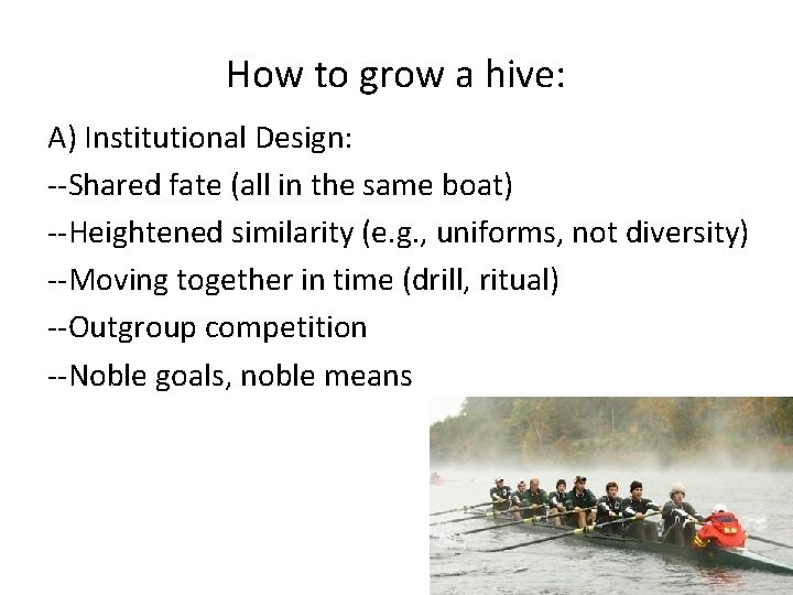 How to grow a hive: A) Institutional Design: --Shared fate (all in the same