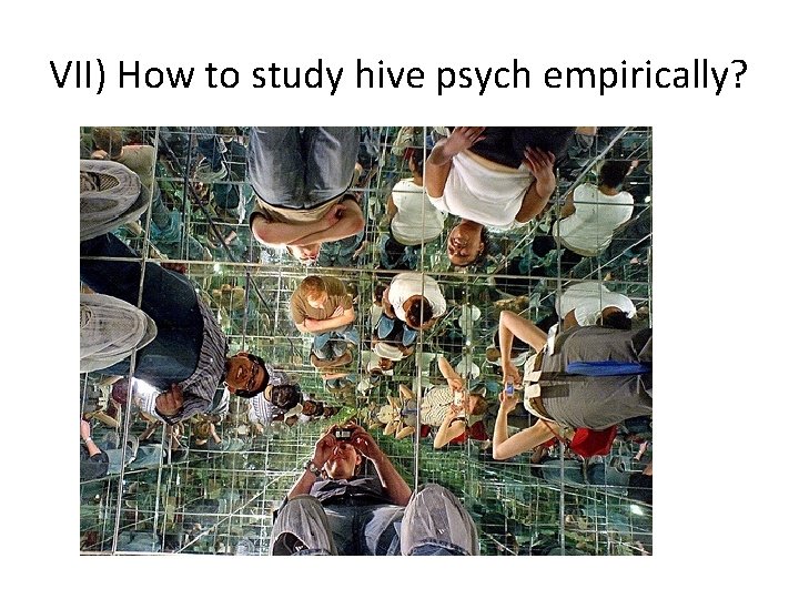 VII) How to study hive psych empirically? 