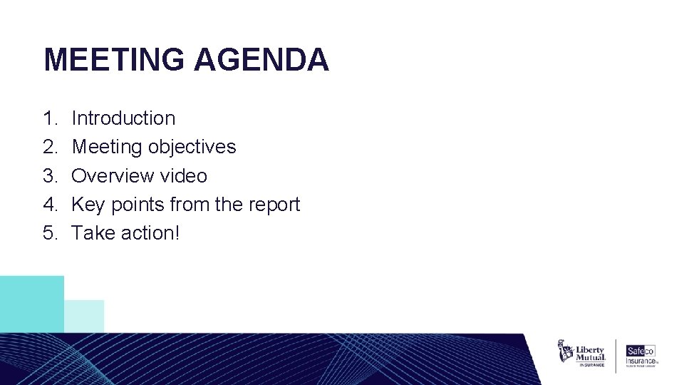 MEETING AGENDA 1. 2. 3. 4. 5. Introduction Meeting objectives Overview video Key points