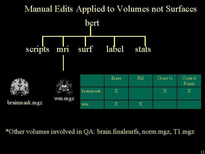 Manual Edits Applied to Volumes not Surfaces bert scripts mri surf label Erase brainmask.