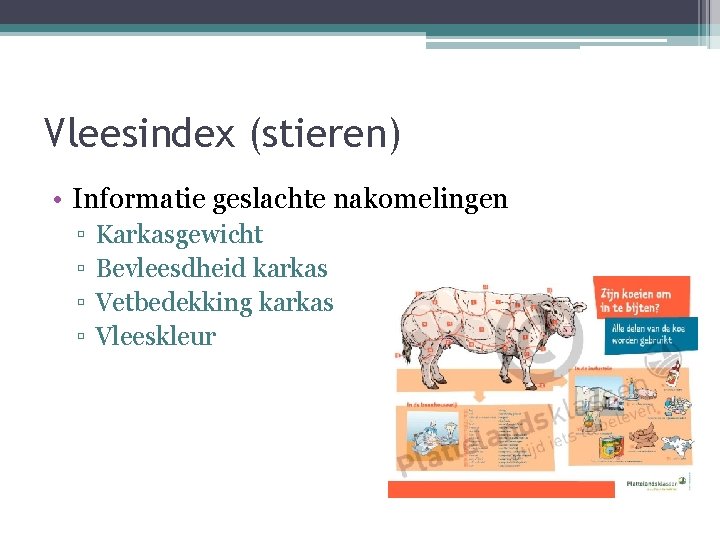 Vleesindex (stieren) • Informatie geslachte nakomelingen ▫ ▫ Karkasgewicht Bevleesdheid karkas Vetbedekking karkas Vleeskleur