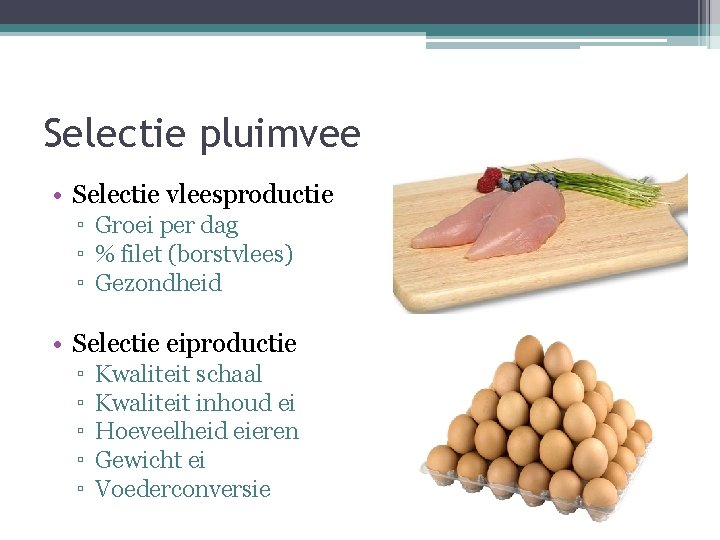 Selectie pluimvee • Selectie vleesproductie ▫ Groei per dag ▫ % filet (borstvlees) ▫