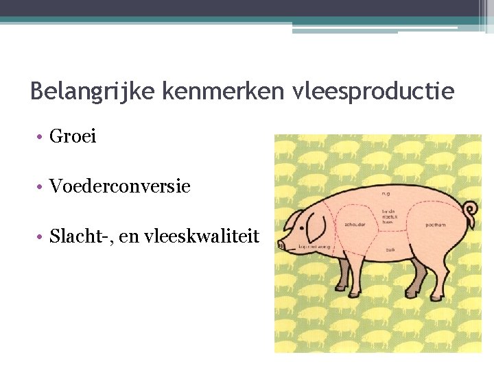 Belangrijke kenmerken vleesproductie • Groei • Voederconversie • Slacht-, en vleeskwaliteit 