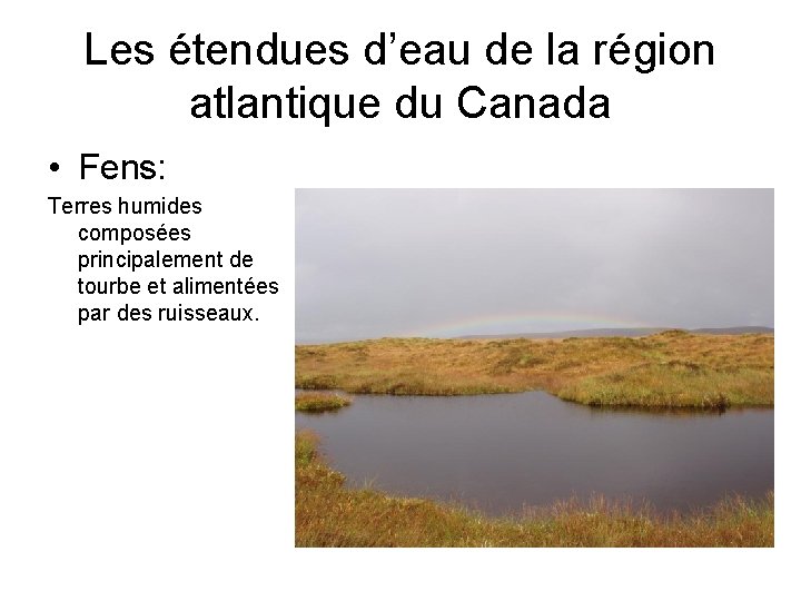 Les étendues d’eau de la région atlantique du Canada • Fens: Terres humides composées