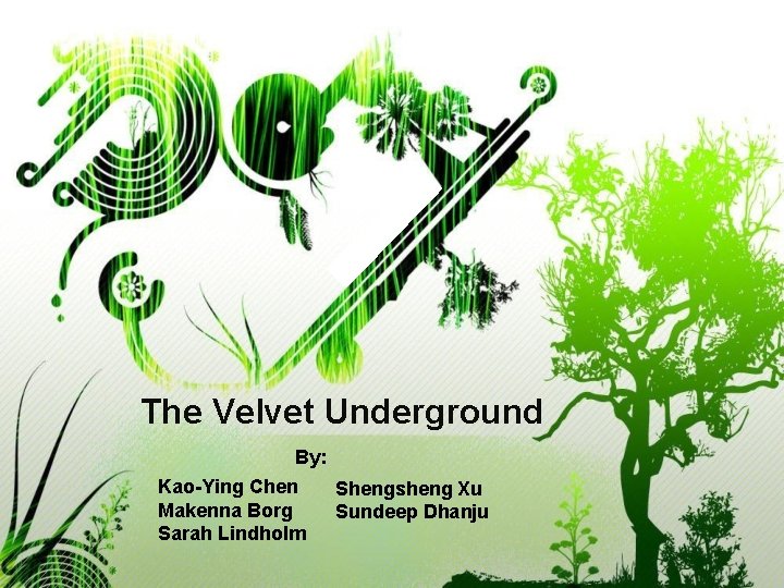 The Velvet Underground By: Kao-Ying Chen Makenna Borg Sarah Lindholm Shengsheng Xu Sundeep Dhanju