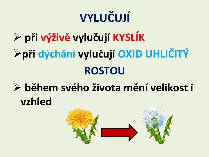 VYLUČUJÍ Ø při výživě vylučují KYSLÍK Øpři dýchání vylučují OXID UHLIČITÝ ROSTOU Ø během