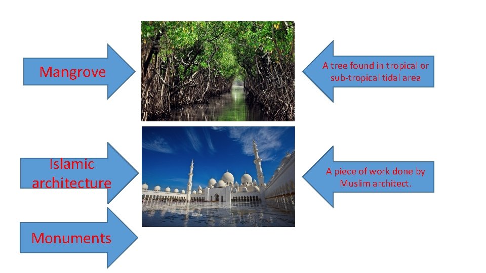 Mangrove A tree found in tropical or sub-tropical tidal area Islamic architecture A piece