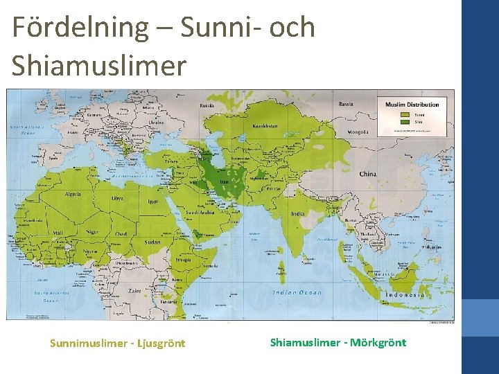 Fördelning – Sunni- och Shiamuslimerr Sunnimuslimer - Ljusgrönt Shiamuslimer - Mörkgrönt 
