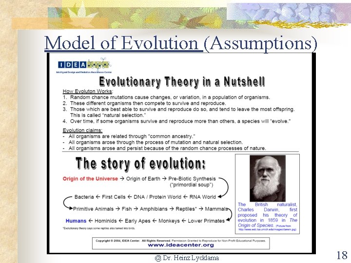Model of Evolution (Assumptions) @ Dr. Heinz Lycklama 18 
