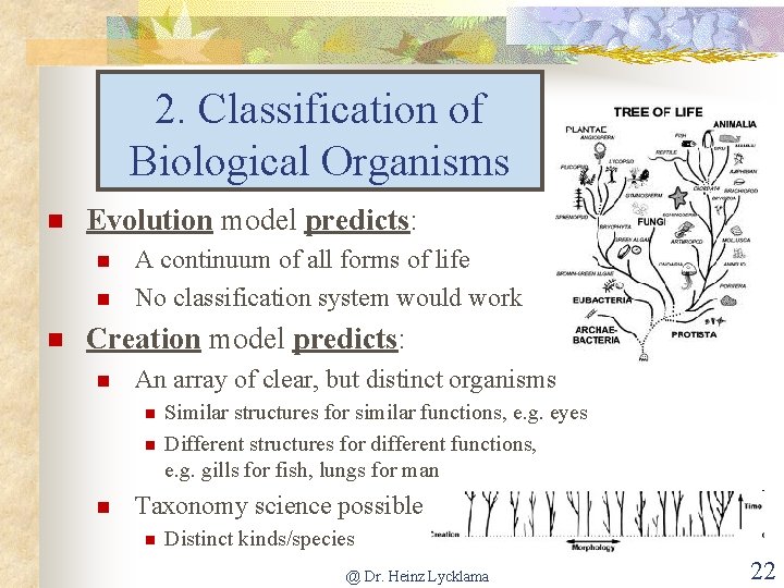 2. Classification of Biological Organisms Evolution model predicts: A continuum of all forms of