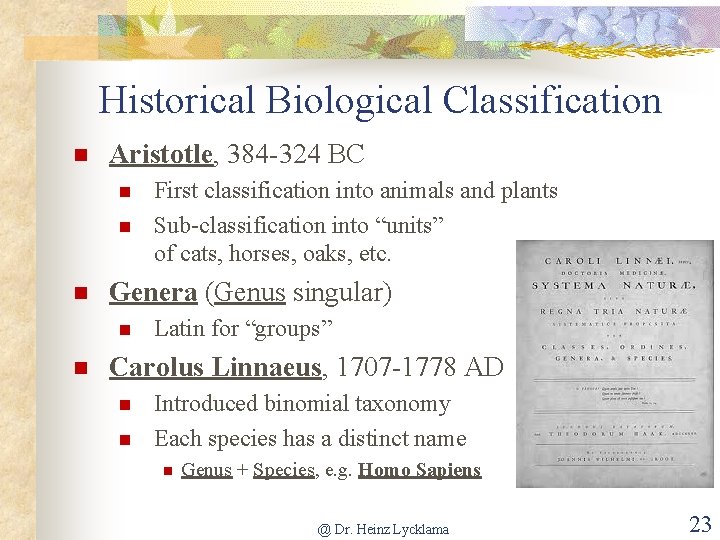 Historical Biological Classification Aristotle, 384 -324 BC Genera (Genus singular) First classification into animals