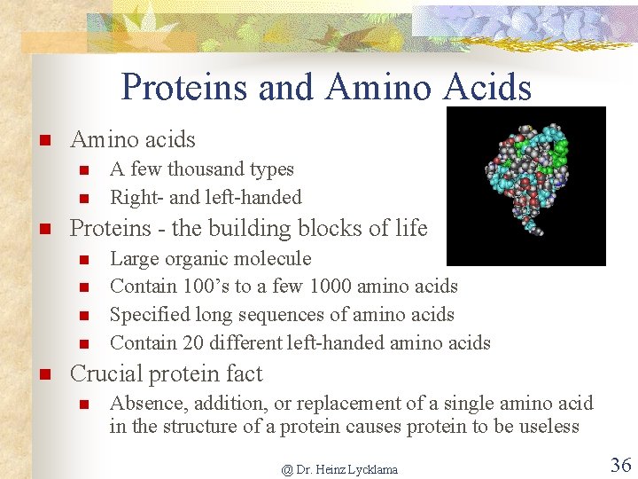 Proteins and Amino Acids Amino acids Proteins - the building blocks of life A