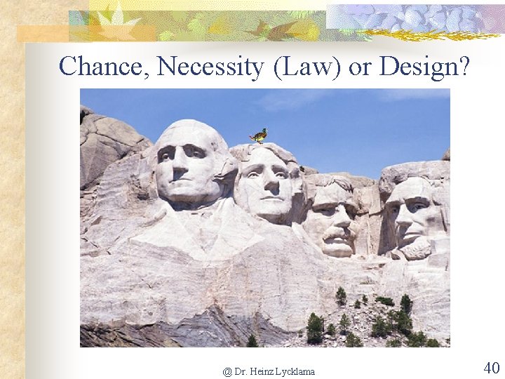 Chance, Necessity (Law) or Design? @ Dr. Heinz Lycklama 40 