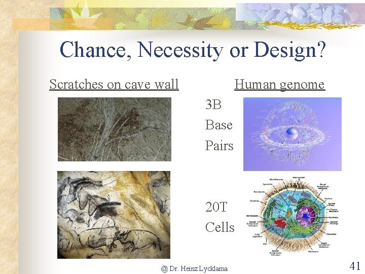 Chance, Necessity or Design? Scratches on cave wall Human genome 3 B Base Pairs