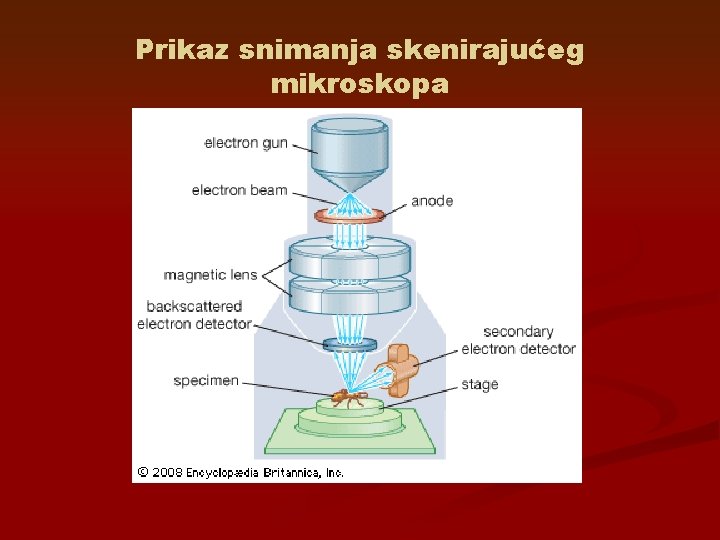 Prikaz snimanja skenirajućeg mikroskopa 