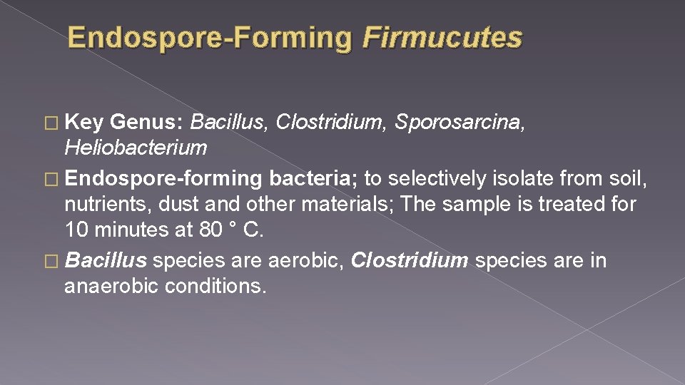 Endospore-Forming Firmucutes � Key Genus: Bacillus, Clostridium, Sporosarcina, Heliobacterium � Endospore-forming bacteria; to selectively