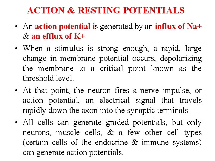 ACTION & RESTING POTENTIALS • An action potential is generated by an influx of