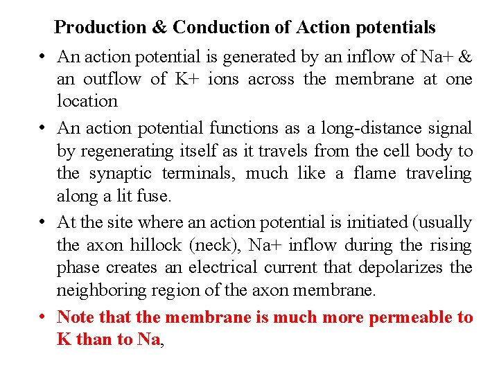  • • Production & Conduction of Action potentials An action potential is generated