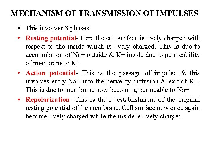MECHANISM OF TRANSMISSION OF IMPULSES • This involves 3 phases • Resting potential- Here