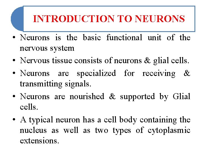 INTRODUCTION TO NEURONS • Neurons is the basic functional unit of the nervous system