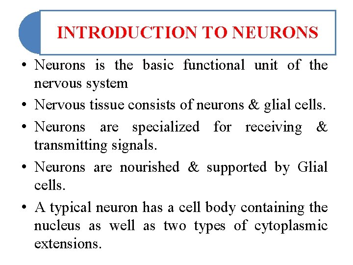 INTRODUCTION TO NEURONS • Neurons is the basic functional unit of the nervous system INTRODUCTION TO NEURONS • Neurons is the basic functional unit of the nervous system