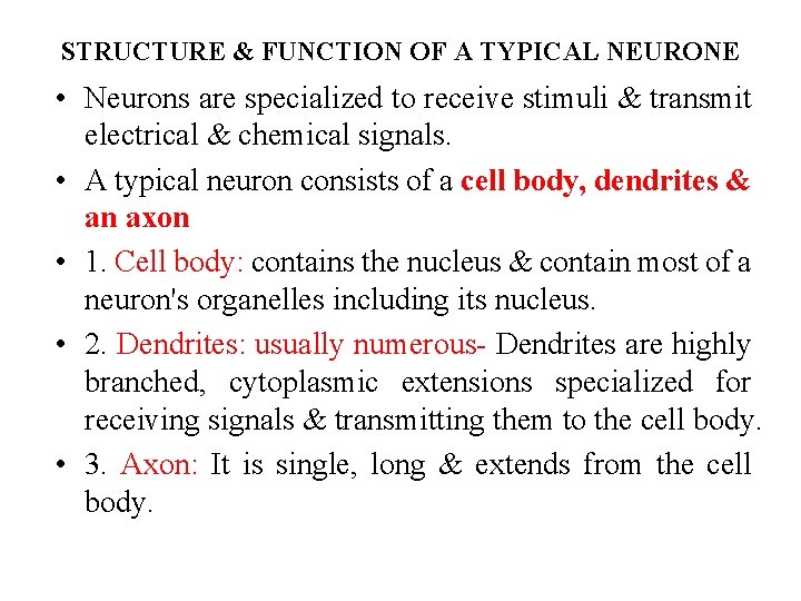 STRUCTURE & FUNCTION OF A TYPICAL NEURONE • Neurons are specialized to receive stimuli