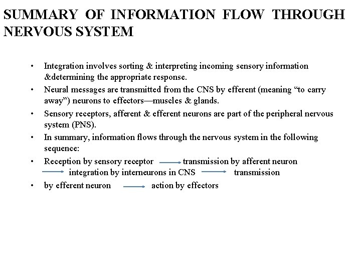 SUMMARY OF INFORMATION FLOW THROUGH NERVOUS SYSTEM • • • Integration involves sorting &