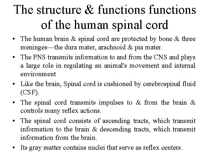 The structure & functions of the human spinal cord • The human brain &