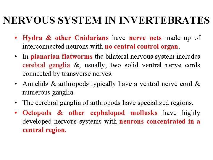 NERVOUS SYSTEM IN INVERTEBRATES • Hydra & other Cnidarians have nerve nets made up